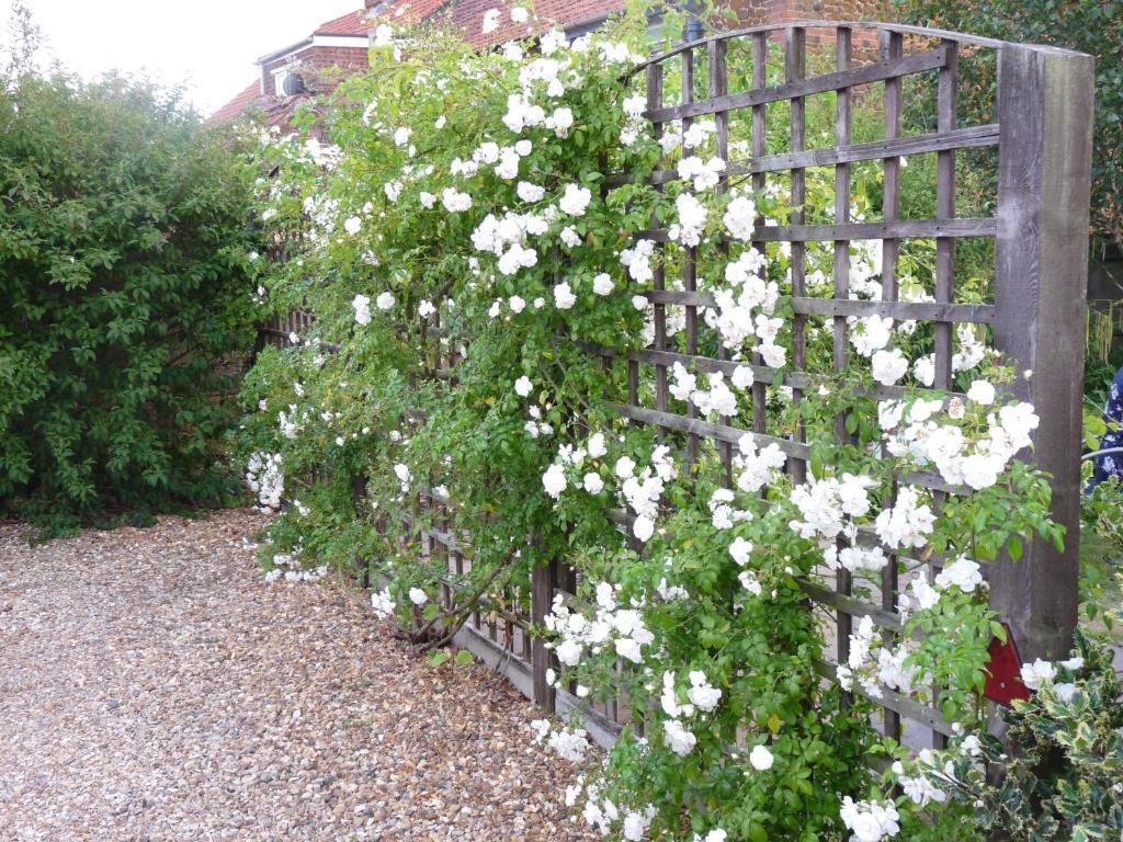 Ashdene House Bed & Breakfast Dersingham Luaran gambar